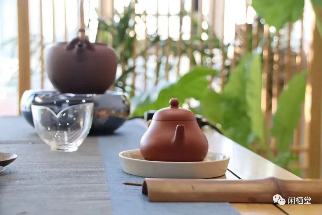 喝好茶会喝茶！为了健康！