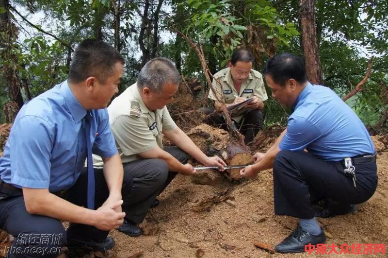 商城县人民检察院办理首起行政公益诉讼案