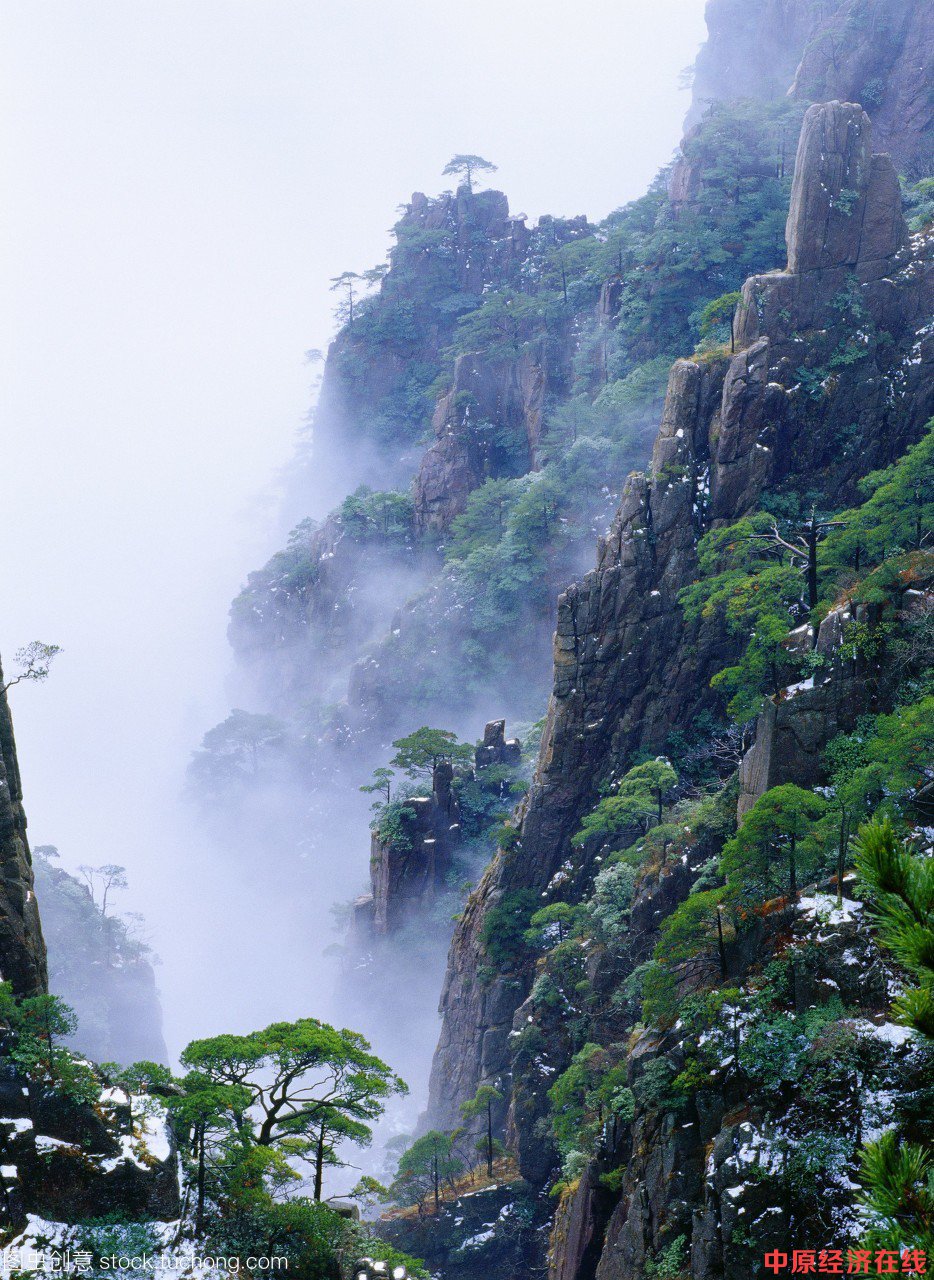 《守望树》----心底永远是那道风景(情感诗歌一首)